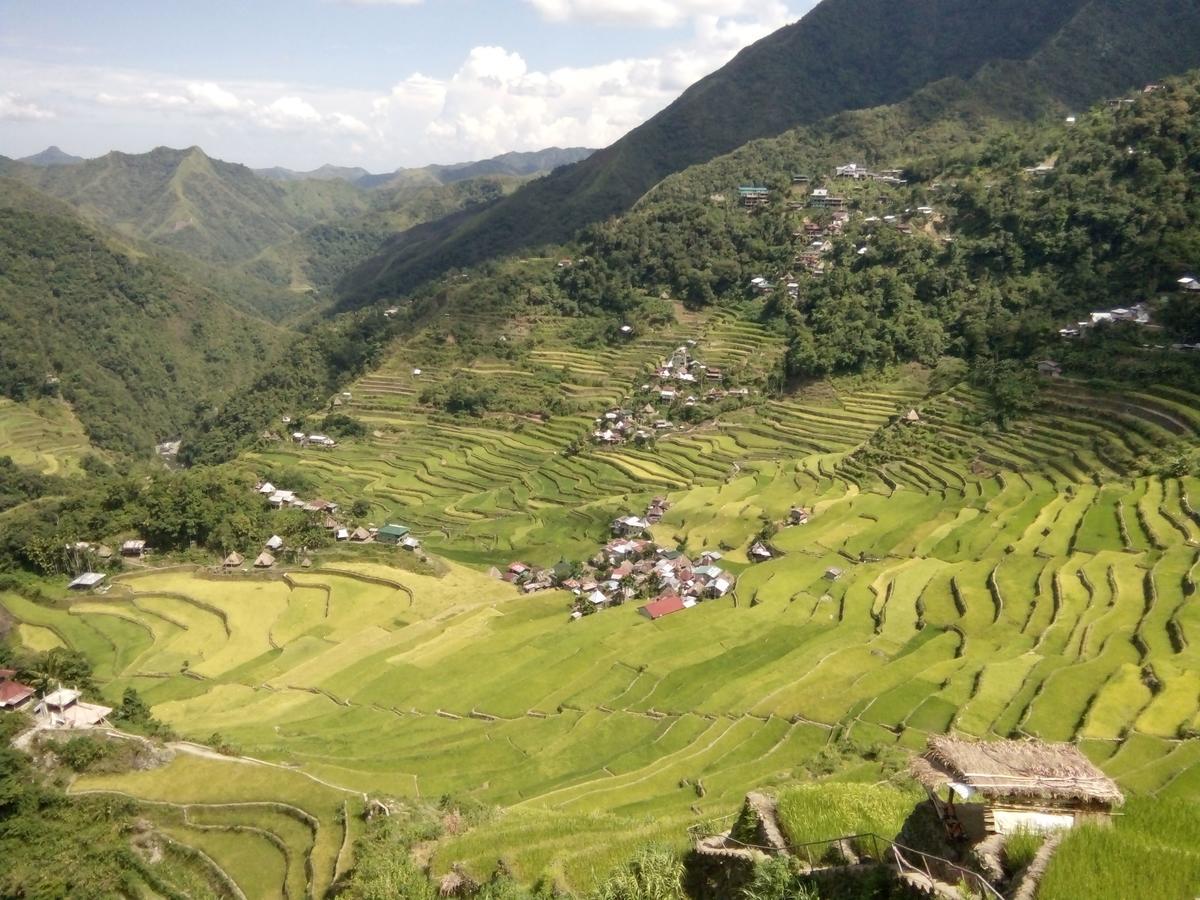 Batad Cristina'S Main Village Inn & Restaurant Banaue Buitenkant foto