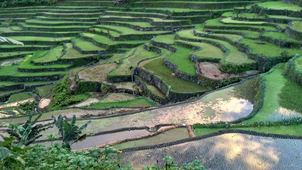 Batad Cristina'S Main Village Inn & Restaurant Banaue Buitenkant foto
